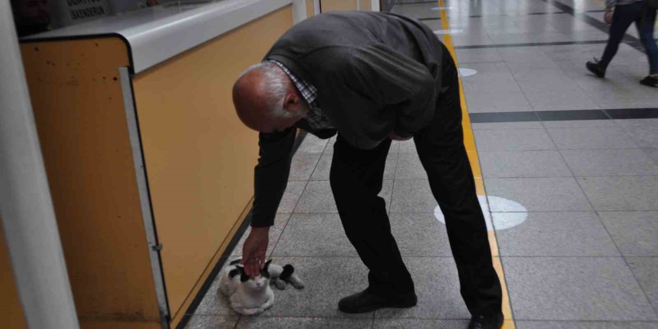 Otogarı Mesken Edinen ’paslak’ Yazıhanenin Maskotu Haline Geldi