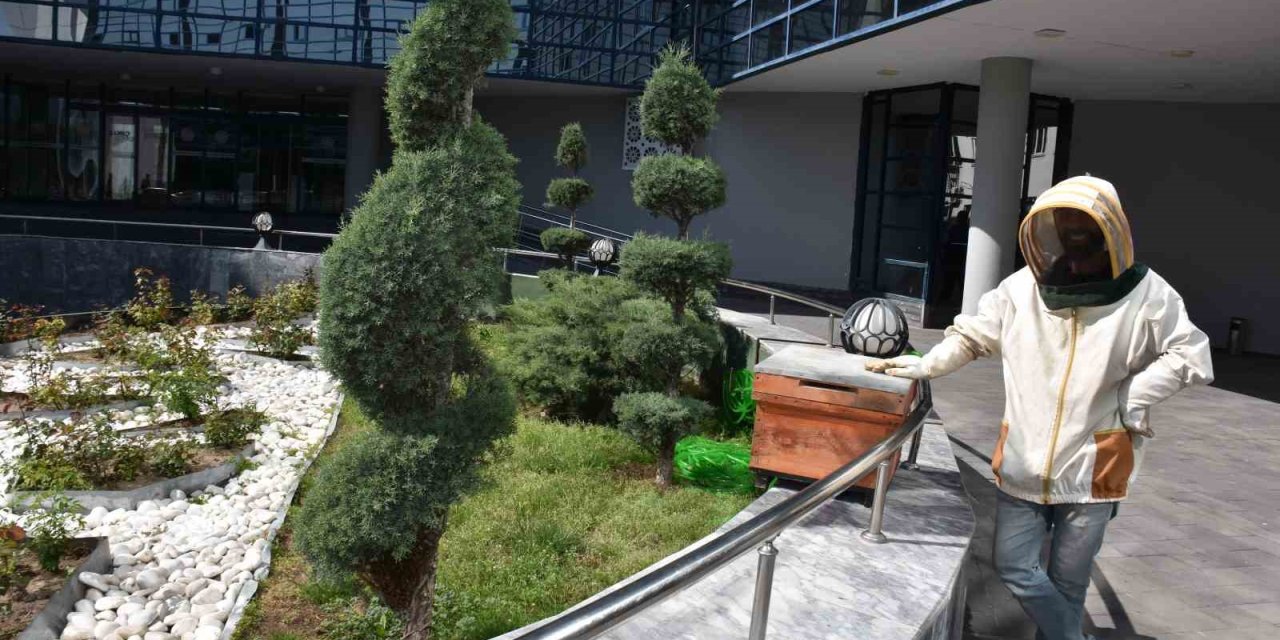 Belediyenin Bahçesine Konan Oğul Paniğe Yol Açtı