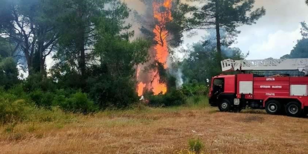 Antalya’da Çıkan Orman Yangını Büyümeden Kontrol Altına Alındı