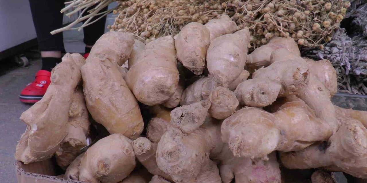 Yaz Nezlesine Zencefil