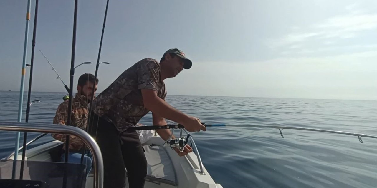 Amatör Balıkçının Köpek Balığı Kabusu