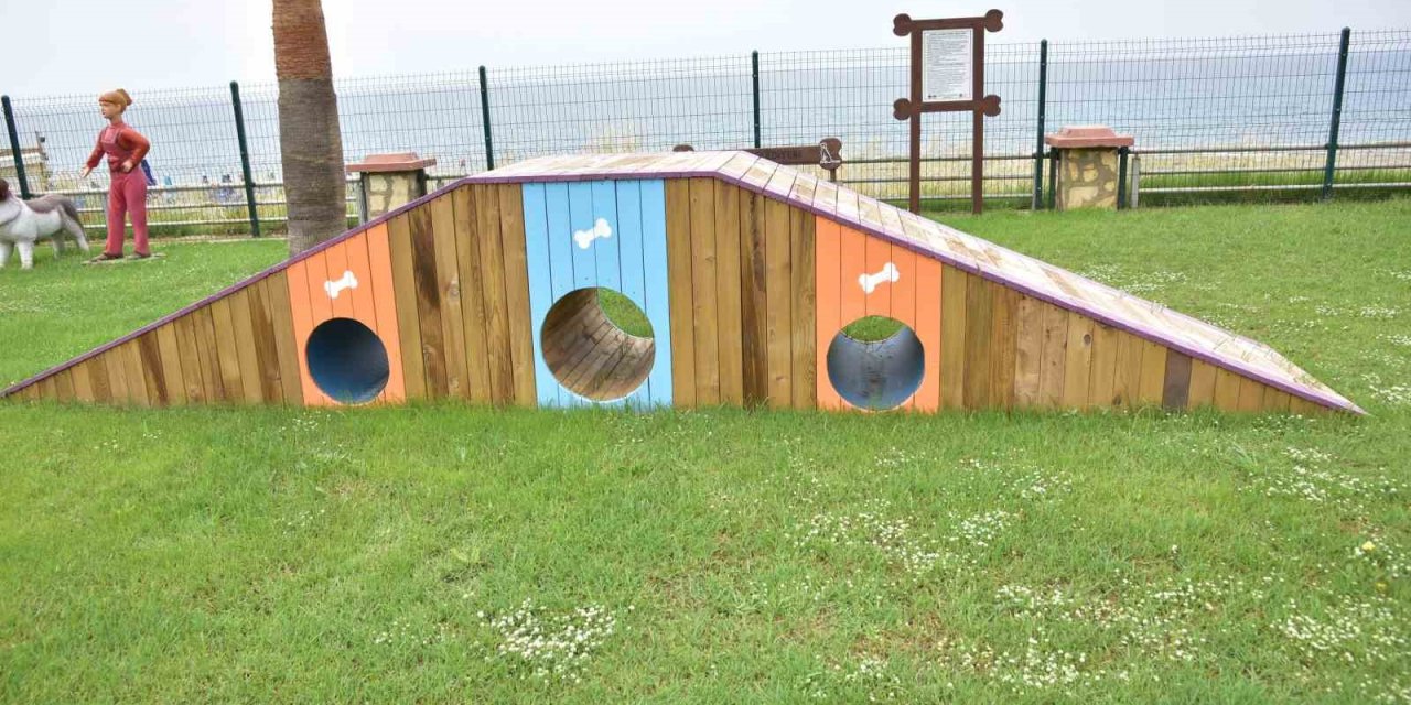 Mahmutlar Mahallesi’nde Köpekler İçin Oyun Ve Eğitim Parkını Hizmete Açıldı