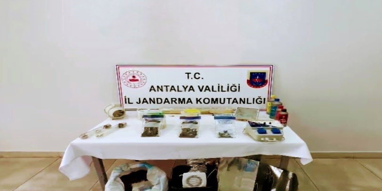 Evinde Uyuşturucu Üretti, İş Yerinde Satamadan Jandarmaya Yakalandı