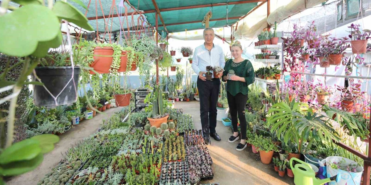 Evini Botanik Bahçesine Çevirdi