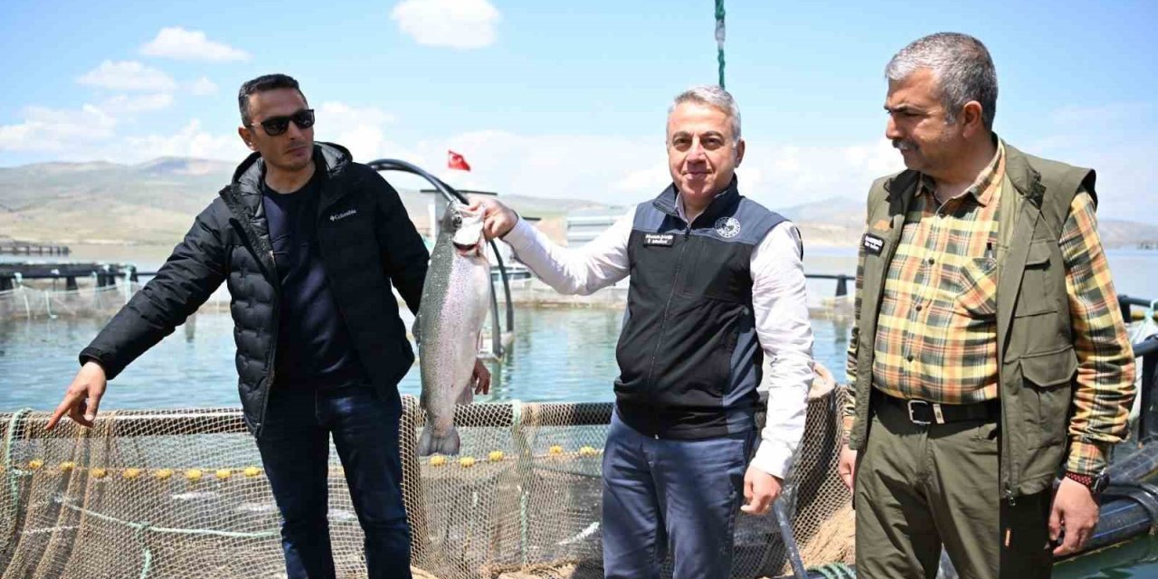 Denizi Olmayan Kayseri’de Türk Somonu Hasadı Başladı