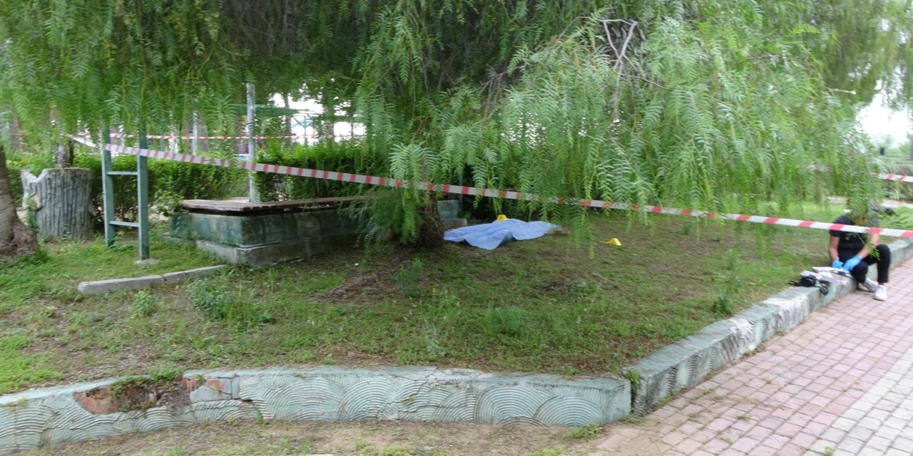 Başından Vurulmuş Halde Ölü Bulundu