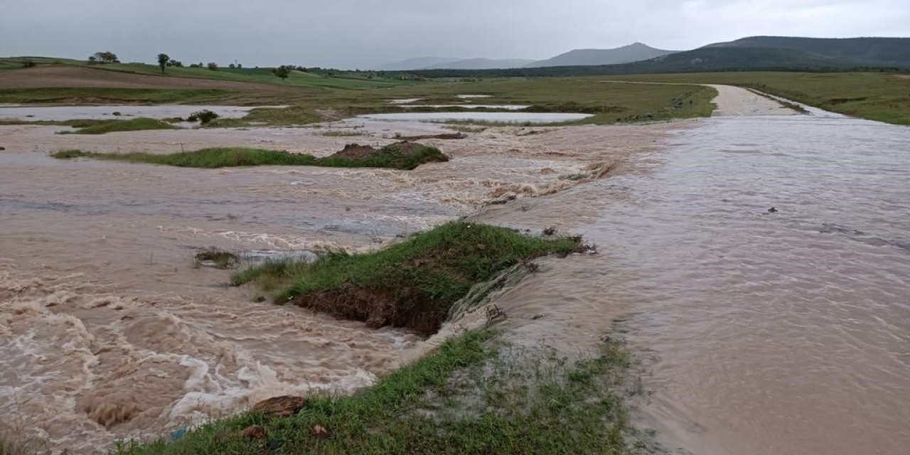 Seyitgazi Sele Teslim Oldu