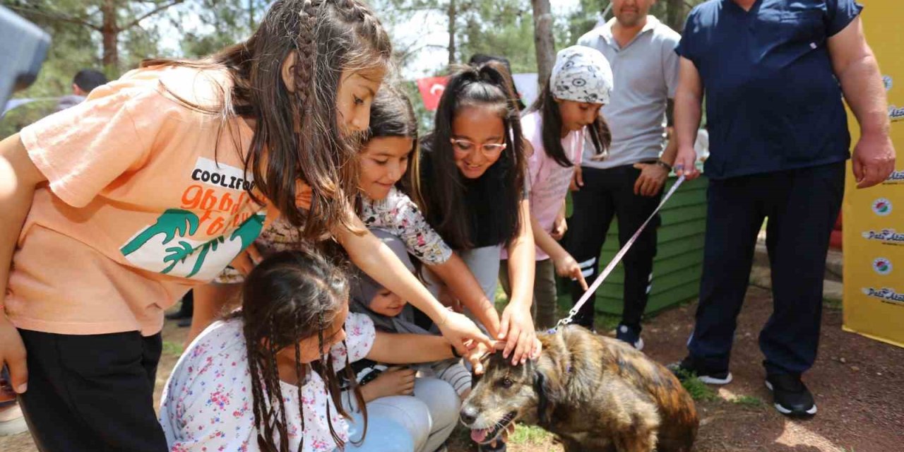Kepez’in Pati Atölyesi’nden Sokak Hayvanlarına Yuva