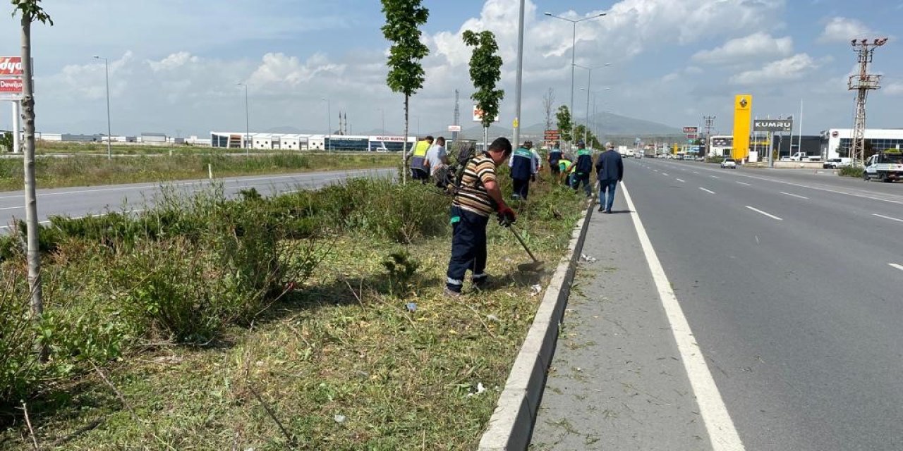 Kayseri’de Yabancı Otlarla Mücadele