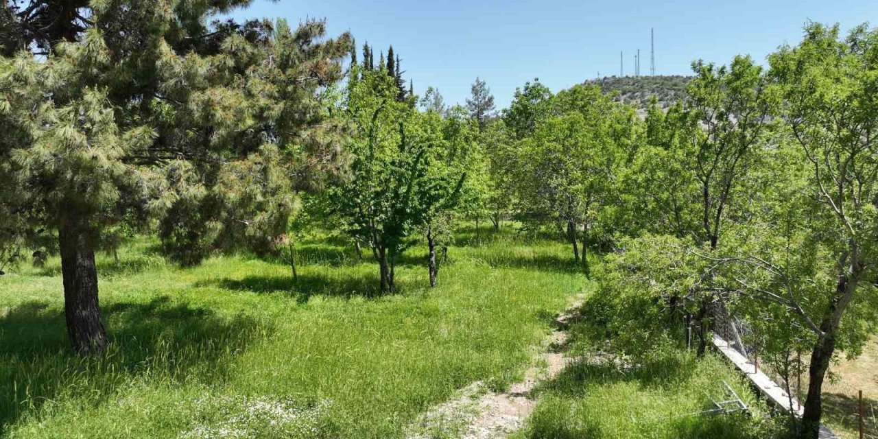 Büyükşehir Belediyesi Ormana’ya Kamp Ve Karavan Alanı Kazandırıyor