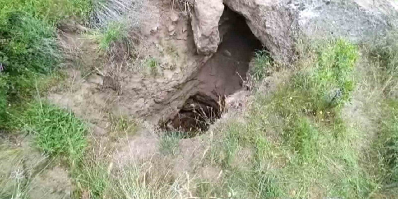 Definecilerin Kazdığı Çukurda Mahsur Kalan Kaplumbağalar Kurtarılmayı Bekliyor