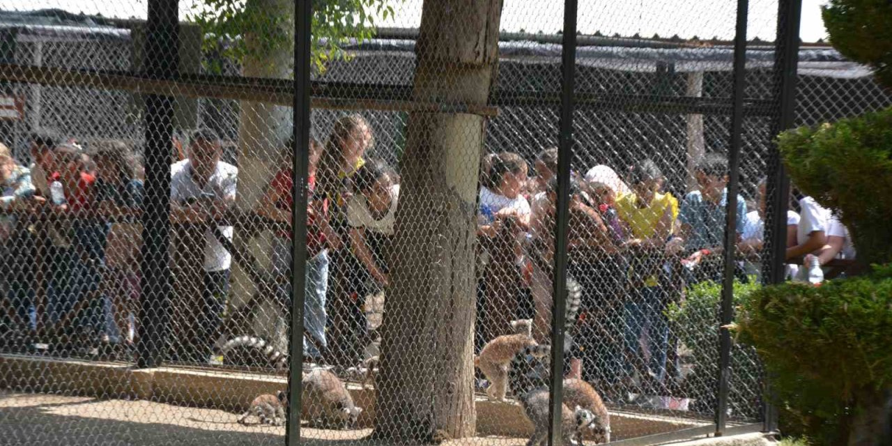 Öğrenciler Lgs Öncesi Tarsus Doğa Parkında Stres Attı