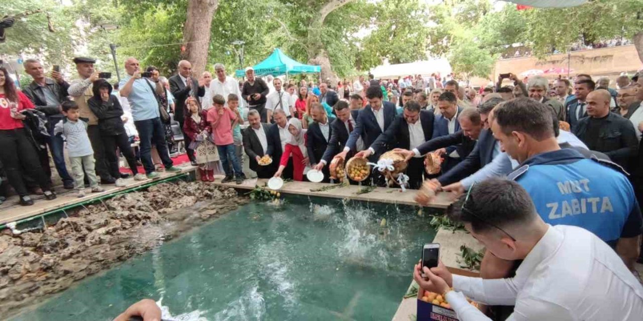 Mut Karacaoğlan Ve Kayısı Festivali Başladı