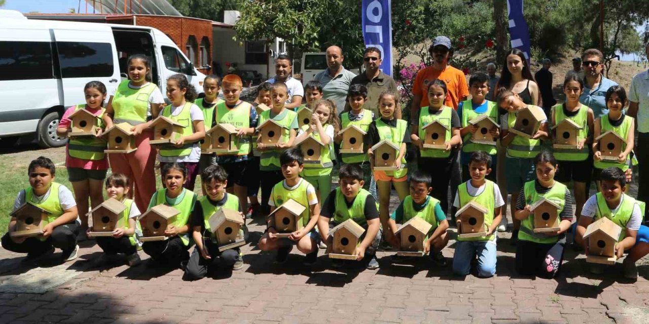 Doğadaki Kuşlara Özel  Yuva