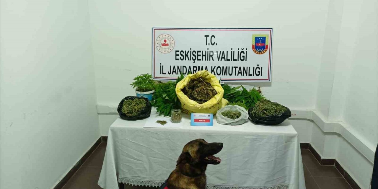 Jandarmadan Uyuşturucu Operasyonu