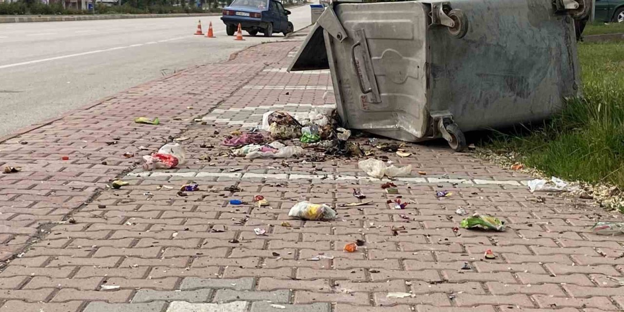 Otomobil Çöp Konteynerine Çarptı: 1 Yaralı