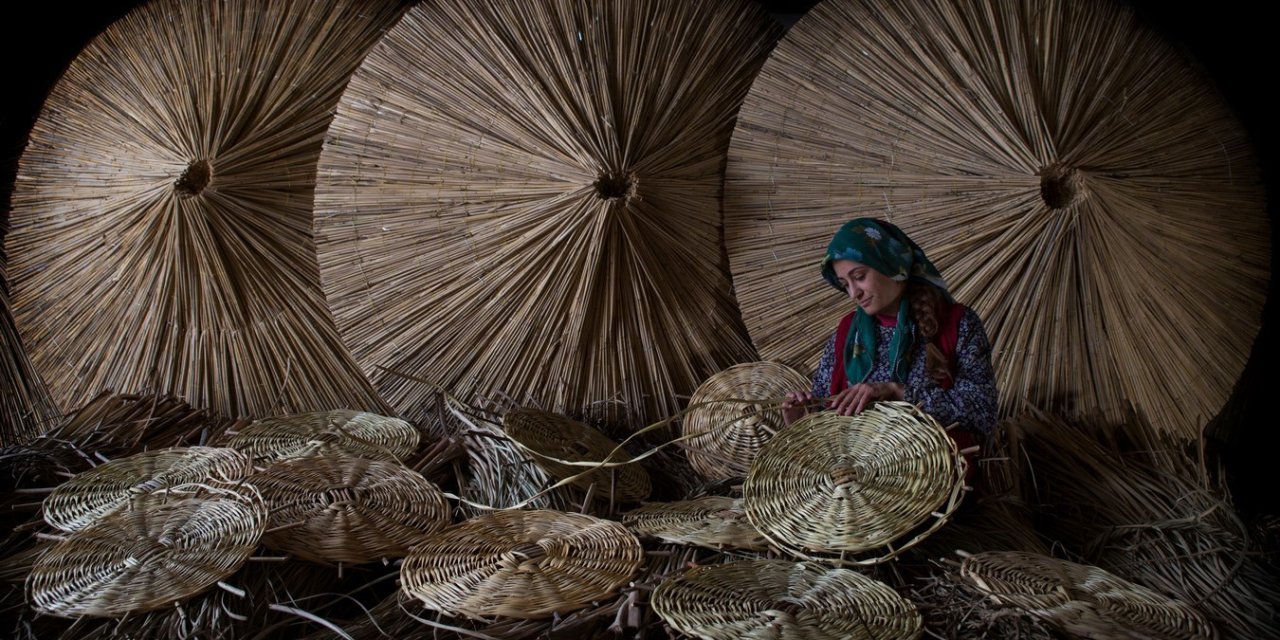 Sultan Sazlığı’nın Doğal Ve Ekonomik Zenginliği Kamışlar