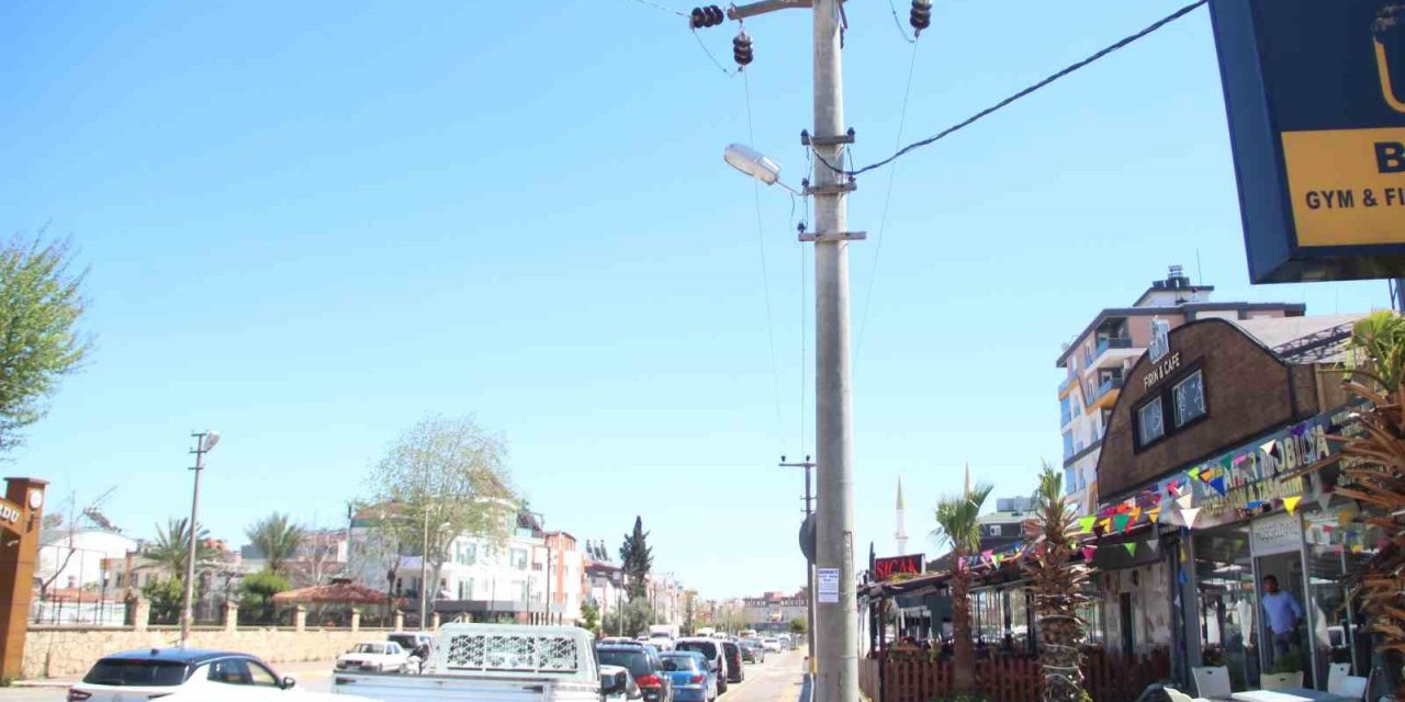 Elektrik Teline Konan Papağanı Kurtarmak İsteyen Gençten Acı Haber