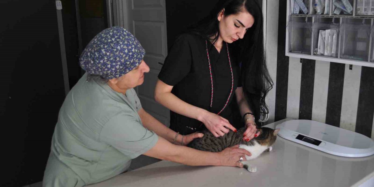 Ölümcül Kuduz Hastalığıyla İlgili Veteriner Hekimden Aşı Çağrısı