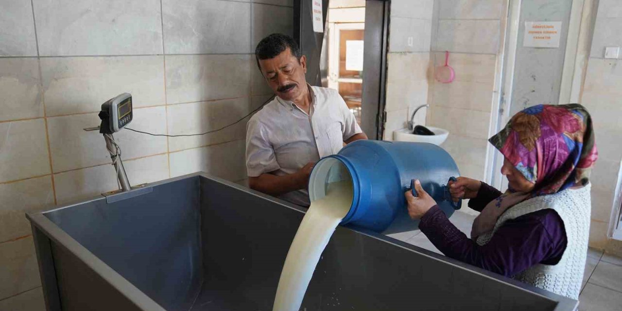 Üreticinin Yüzü Bu Projeyle Güldü