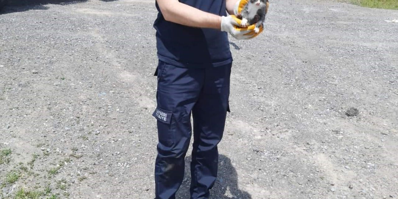 Kuyuya Düşen Yavru Kediyi İtfaiye Kurtardı