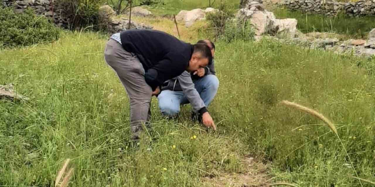 Bitki Sağlığı İle İlgili Kontroller Tamam