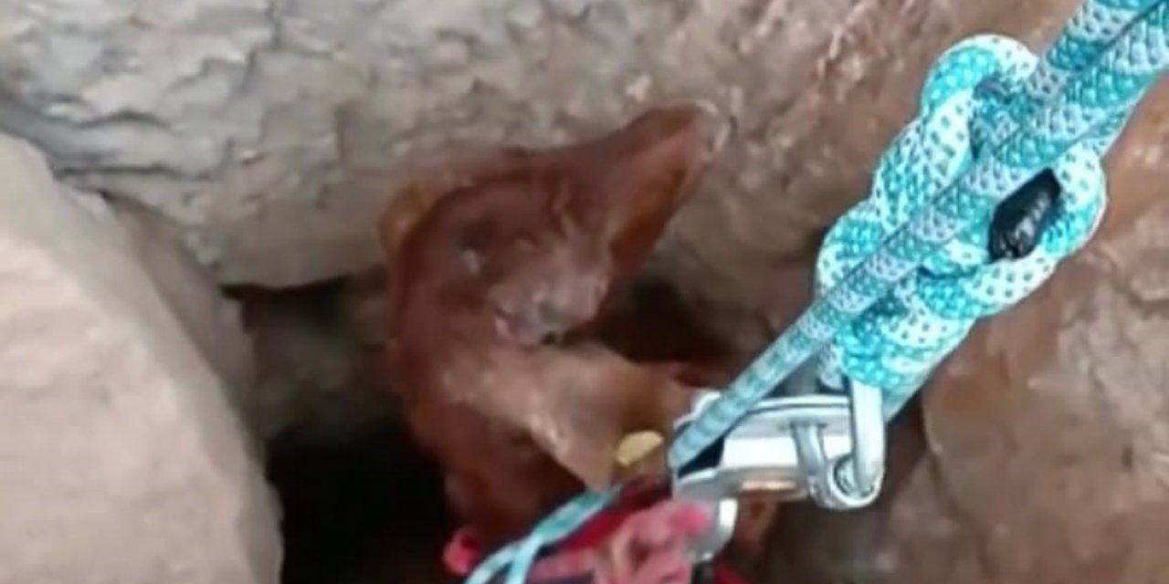 Kuyuya Düşen Keçi 2 Saatlik Çalışmayla Kurtarıldı