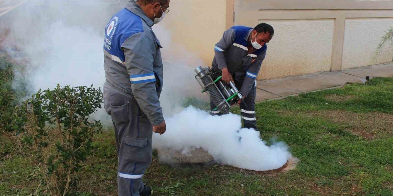 Sineksiz Yaz İçin İlaçlama Ordusu İş Başında