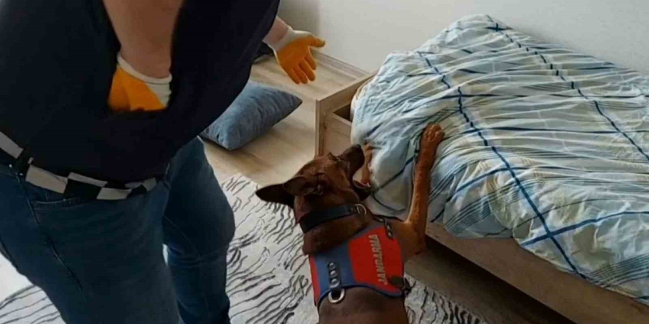 Bazanın Altından Uyuşturucu Çıktı