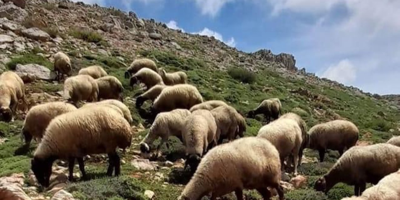 Göçerlere Soğuk Engeli