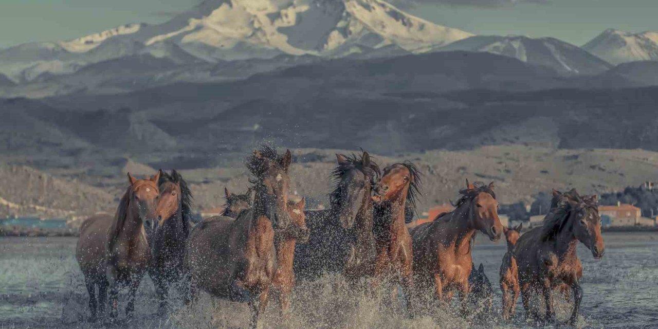 Hürmetçi Sazlığı Türkiye’nin Bildiği Tanıdığı Bir Alan Olacak
