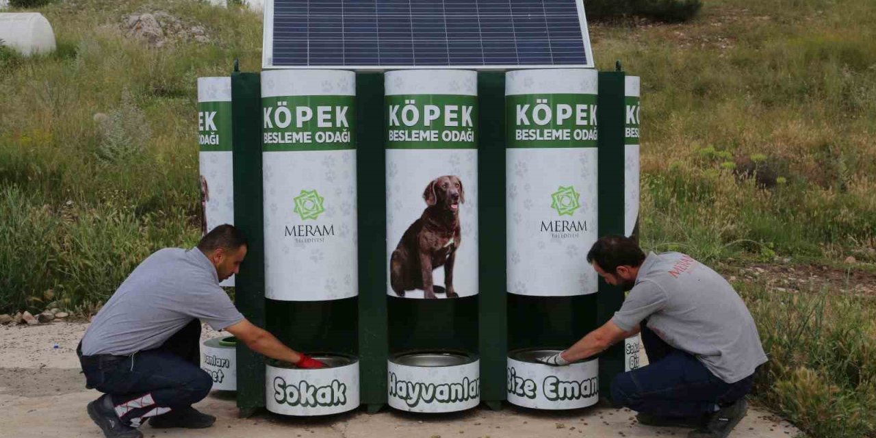 Meram’da Sokak Hayvanlarının Mama Kapları Artık Otomatik Dolacak