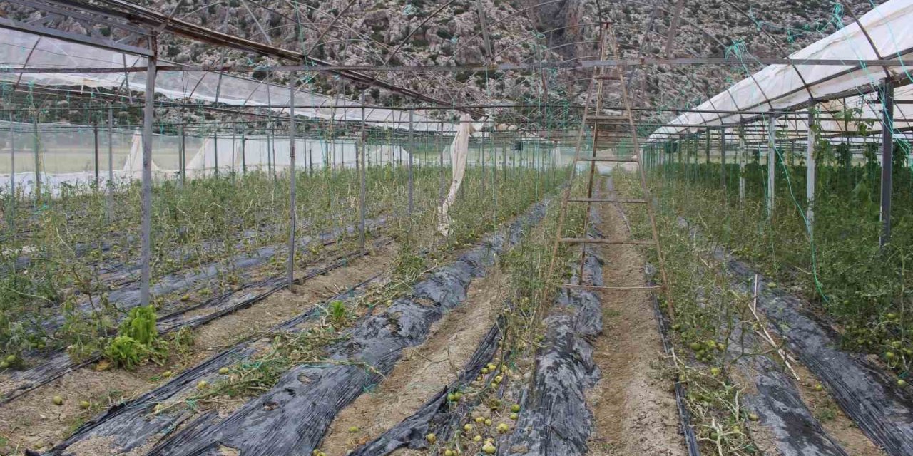 Hortum Ve Dolunun Vurduğu Üreticiye Sera Naylonu Desteği