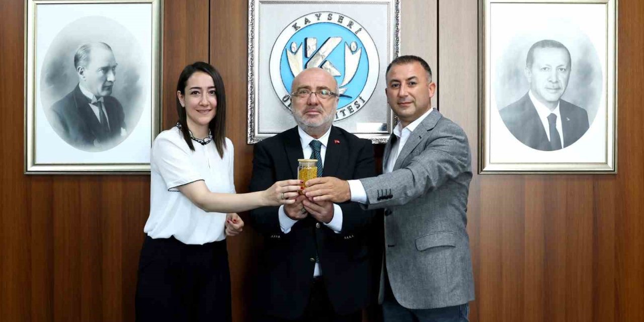 Kayü’de Arıcılıkla İlgili Projeler Meyve Vermeye Başladı