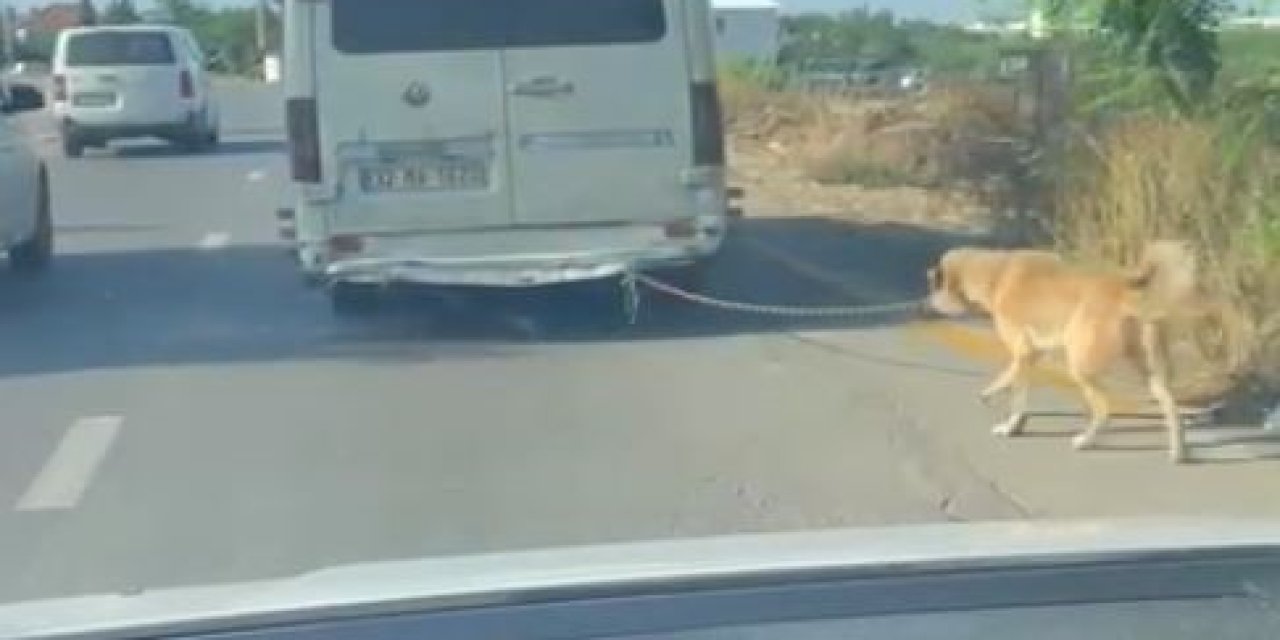 Minibüsün Arkasına Bağladığı Köpeği Zorla Götürdü