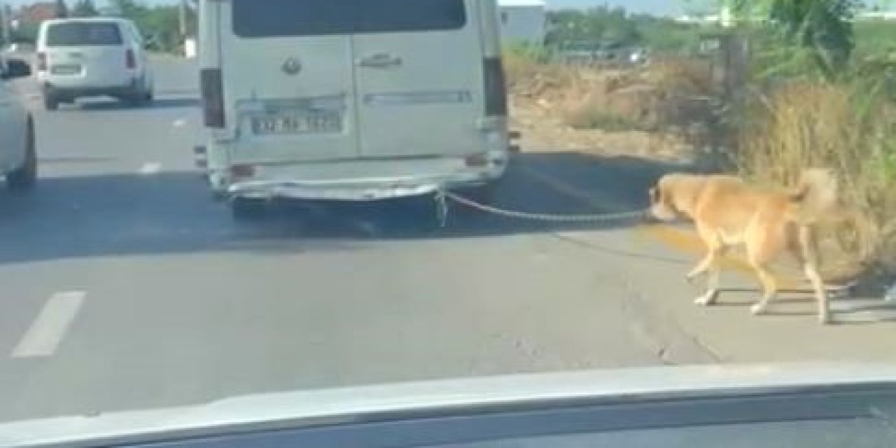 Minibüsün Arkasına Bağlanan Köpeği Zorla Götüren Sürücüye Adli İşlem