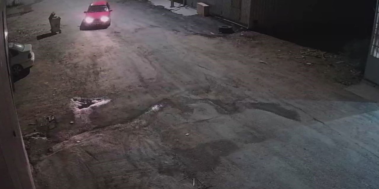 İş Yerini Bekleyen Rottweiler Cinsi Köpekler Hırsızlar Tarafından Çalındı