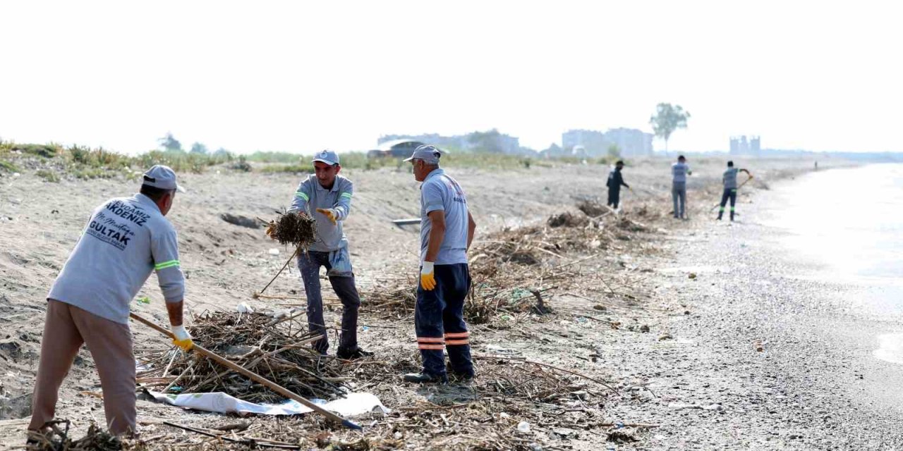 Mersin’de Caretta Carettaların Üreme Alanı Sahiller Temizleniyor