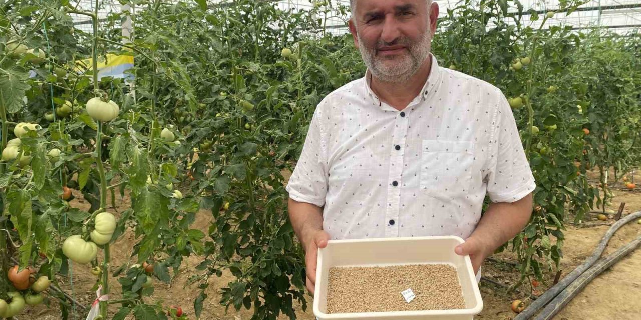 7 Türde 50 Çeşit Tohumu 16 Ülkeye İhraç Ediyor