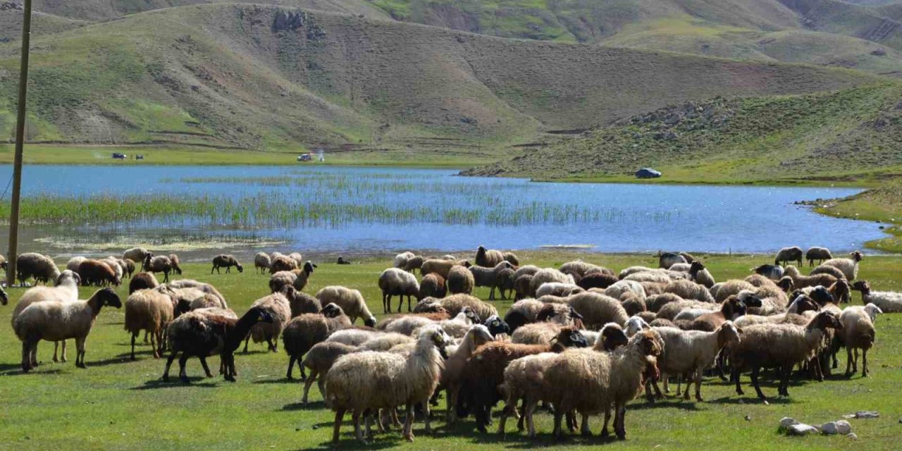 Antalya’da Yörükler Yaylalara Yerleşmeye Başladı