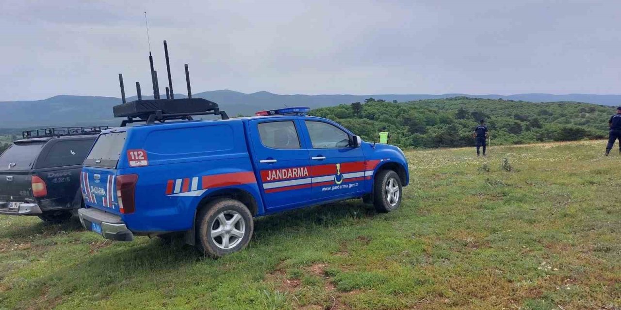 Yabani Hayvanların Saldırısı Sonucu 20 Küçükbaş Telef Oldu