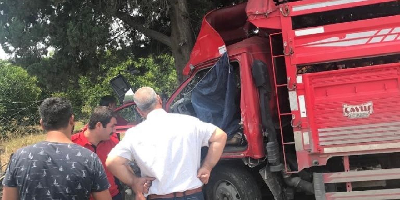 Kamyonet Ağaca Çarptı: 1 Ölü, 6 Yaralı