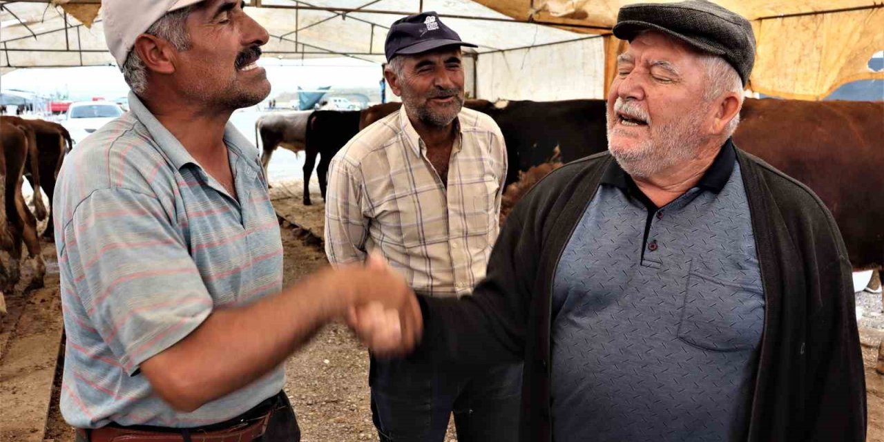 Kurbanlıklar Görücüye Çıktı, Sıkı Pazarlıklar Başladı