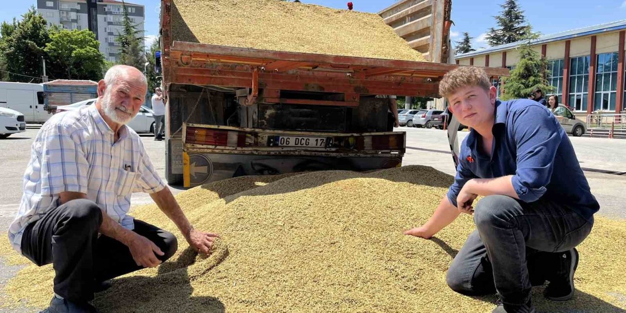 Eskişehir’de İlk Mahsul Açık Arttırmayla Rekor Fiyata Satıldı