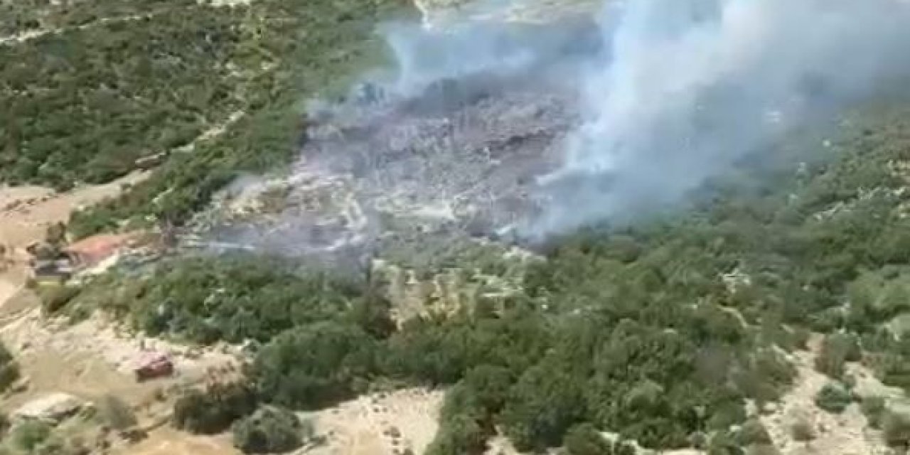 Kaş’taki Orman Yangını Yarım Saatte Kontrol Altına Alındı