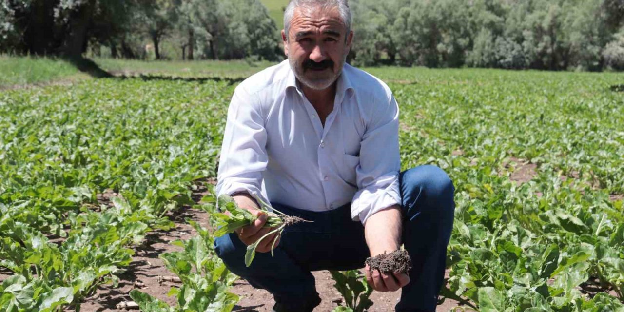 Çiftçiyi Elektrik Çarptı