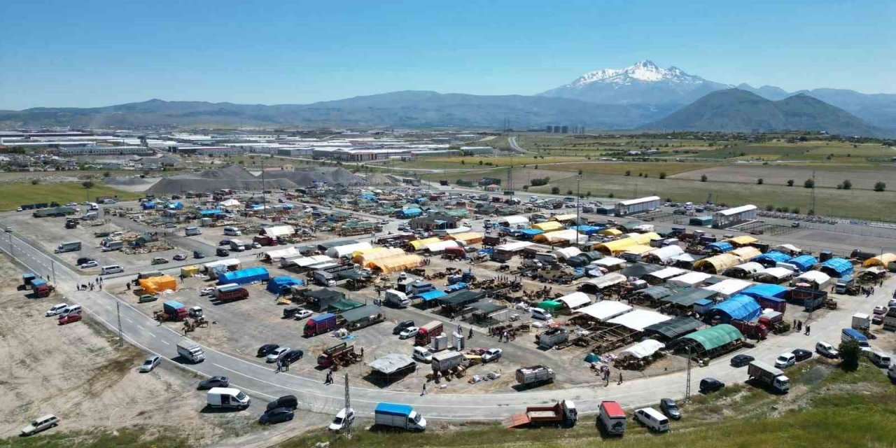Başkan Palancıoğlu Kurban Pazarını İnceledi, Büyükbaş Pazarlığı Yaptı