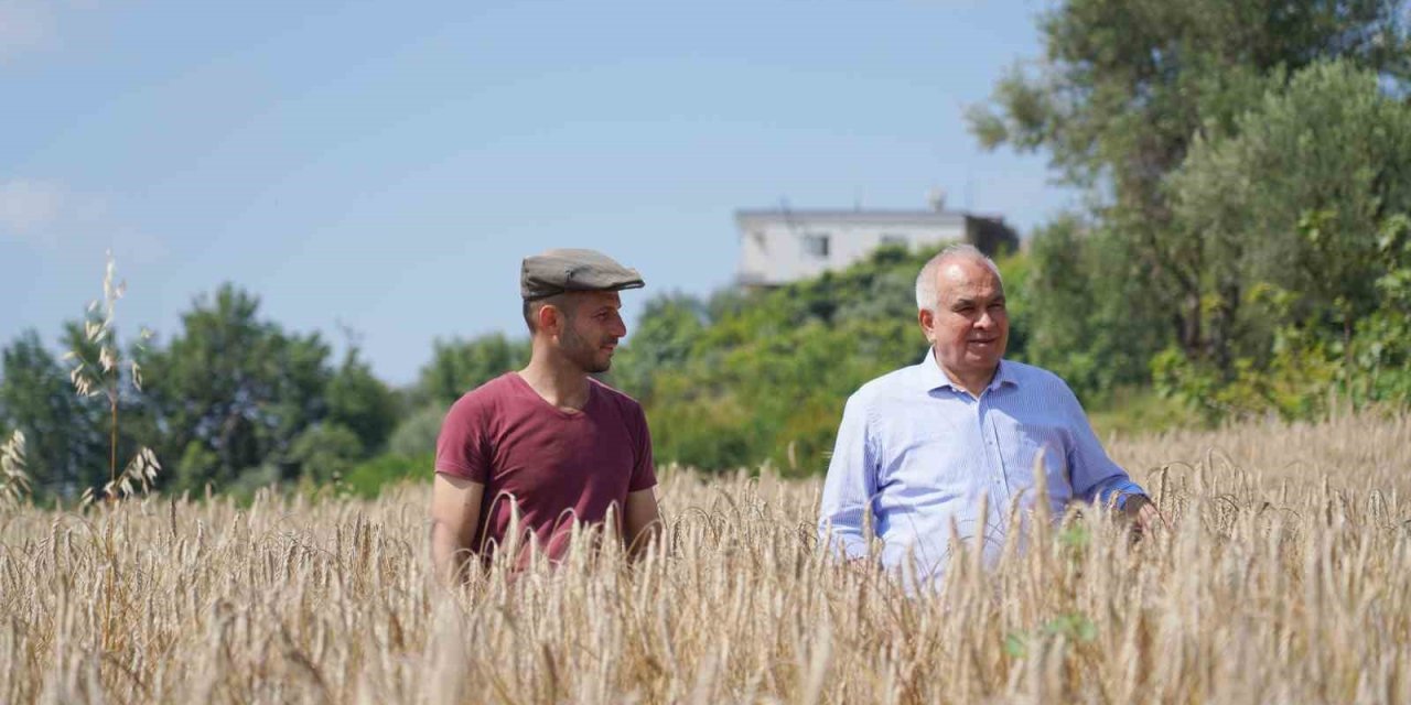 Örnek Projeyle Atıl Araziler Üretime Kazandırıldı, İlk Hasat Yapıldı