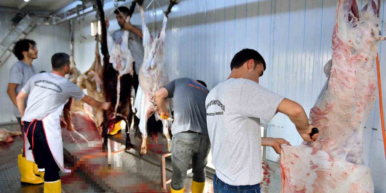 Mersin Büyükşehir Belediyesinin Mezbahaları Ve Mobil Kesim Ünitelerine Yoğun İlgi