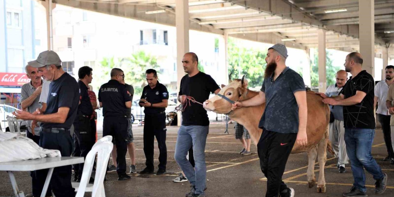 Konyaaltı Belediyesi Vatandaşlara Ücretsiz Kurban Kesimi Hizmeti Verdi